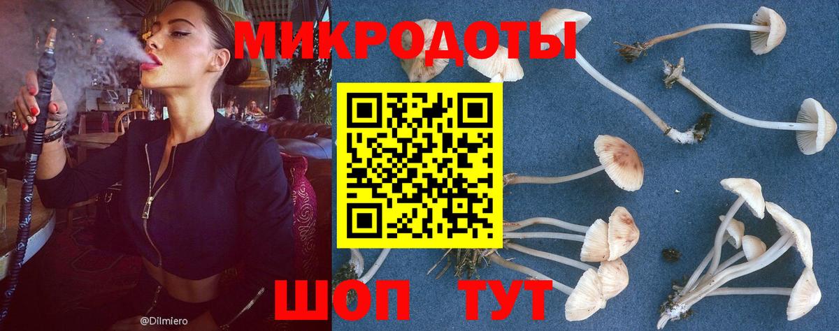 Михайловка  Псилоцибиновые грибы MAGIC MUSHROOMS  Вход с VPN 